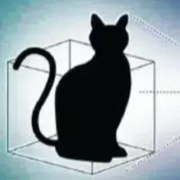 QUANTUMCAT