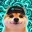 HYPEDOG