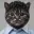 MCAT