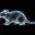 RATBRAIN