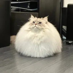 いれぶん
