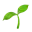 HERB