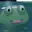 FROBERT