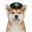 HACHI