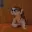 POGO