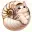 NautiloCat