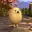$EGGDOG