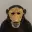 Aape