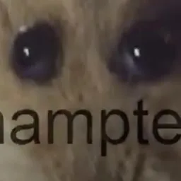 hampter