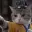 CatFu
