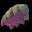 Tardigrade