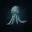 OCTO