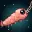 KRILL