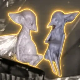 Fairies