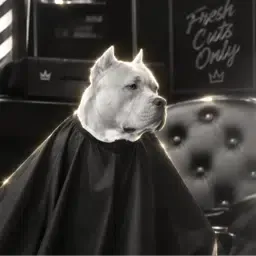 BDOG