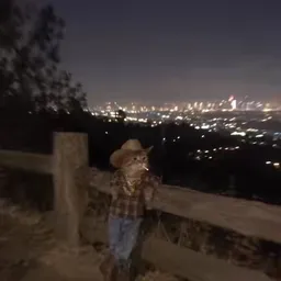 TEXCAT