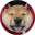 SAN