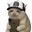 DEBTCAT