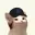raycat