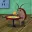 Cockroach