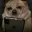 CryDog