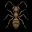 ANT