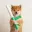 baton