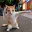 KCAT