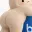 Jollybutt
