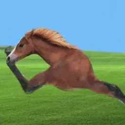 RUNNER