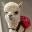 BACKPACA