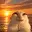 Sunsetcat