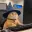 WIZCAT