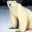 PolarBear