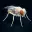 Flyhard