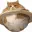 CATURN