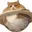 CATURN