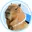 CAPY