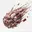 MEAT