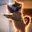 VRCAT