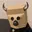 ZBULL