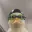 swimduck