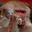 BABOON