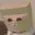 ZCAT
