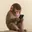 fone2