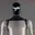 BOT
