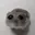 HAMMY