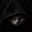 Cat Cult