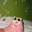 MOB