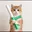 caton